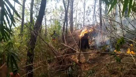 Hutan Pinus di Mamasa Kembali Terbakar, Areal Pekuburan Nyaris Ikut Dilalap Api