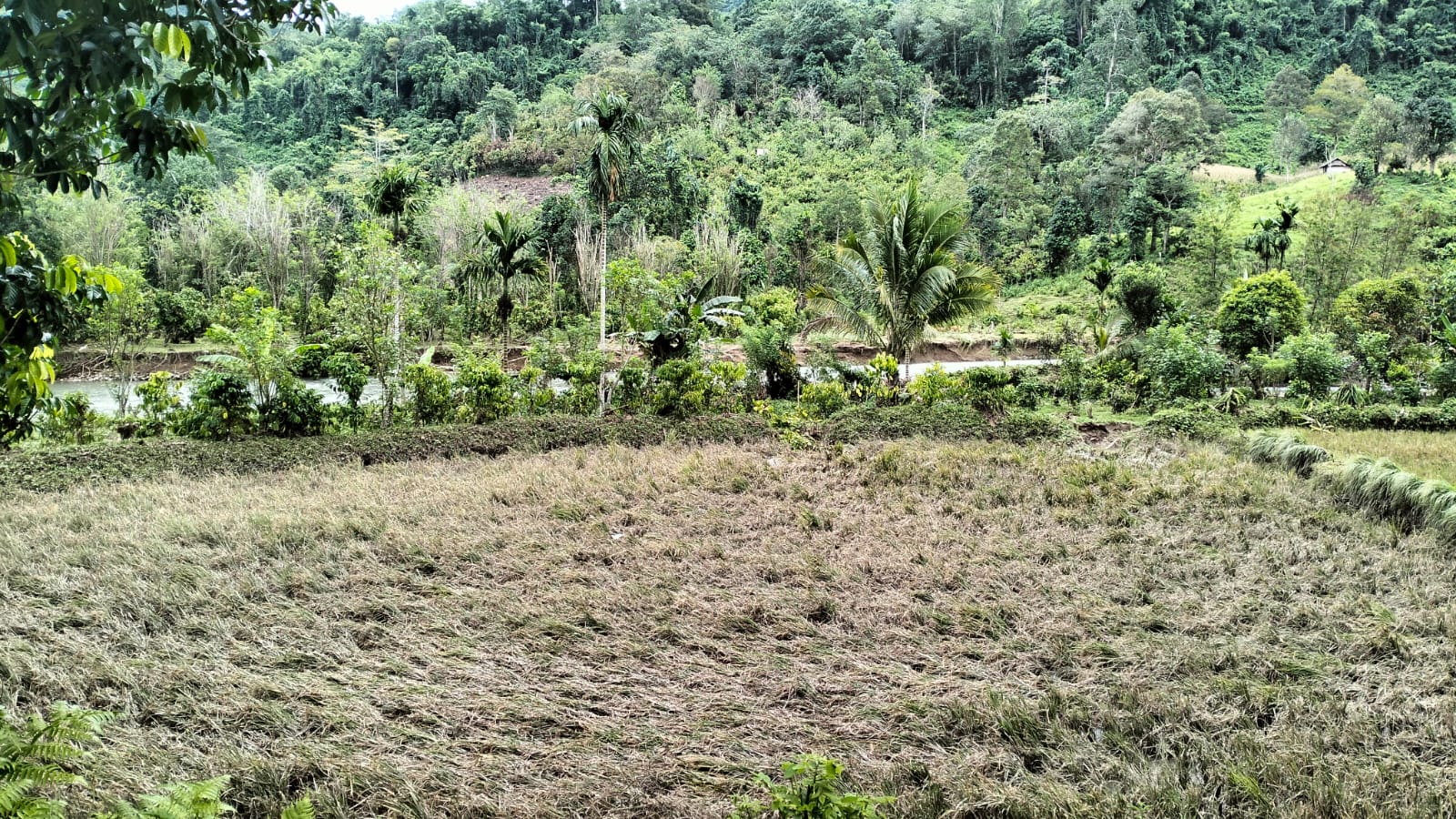090523-Banjir Matangnga1