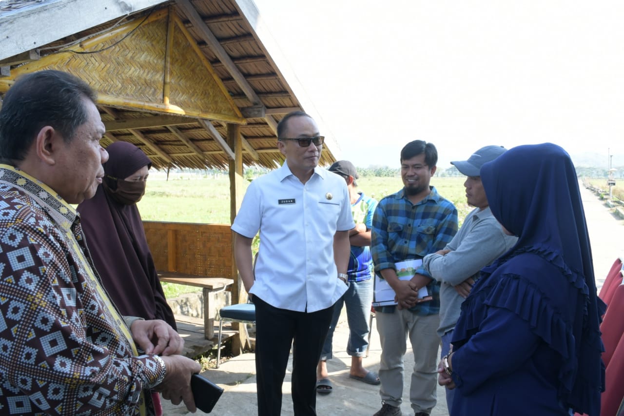 Pj Gubernur Sulbar Dorong Balai Benih Menjadi Pusat Inovasi Pertanian Sulbar IMG-20231007-WA0047