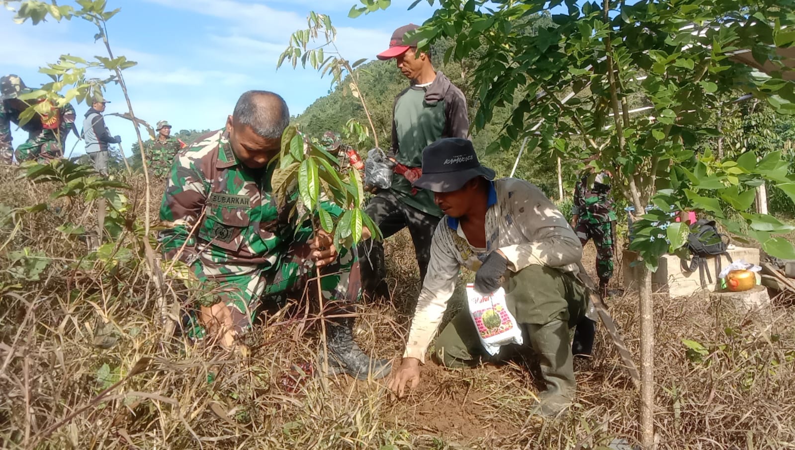 Kodim Polman Tanam Ratusan Pohon Durian Untuk Penghijauan Paceko