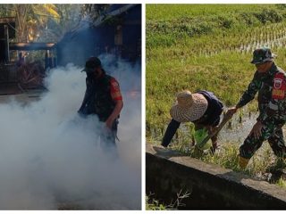 Anggota Kodim 1402/Polman Lakukan Pengasapan Untuk Cegah DBD - Hama Tikus