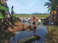 Tanggul Jebol di Matakali Polman Mulai Dibenahi, Petani Harap Segera Turun Sawah