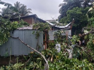 2 Rumah Warga Rusak Tertimpa Pohon Tumbang di Mirring Polman