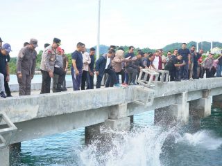 Pj Gubernur Sulbar Lepas 1000 Karang Buatan ke Teluk Mamuju