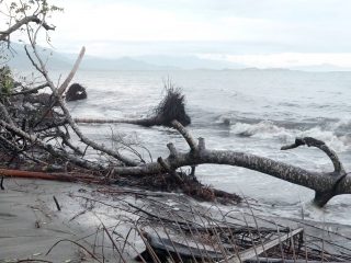 Pilu Warga Mampie Polman, Hidup Ketakutan Akibat Abrasi Pantai