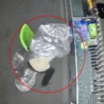 100625-Pencuri