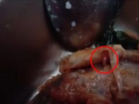 Heboh Temuan Ulat Pada Ayam dan Saus Menu MBG Murid SD di Mapilli Polman