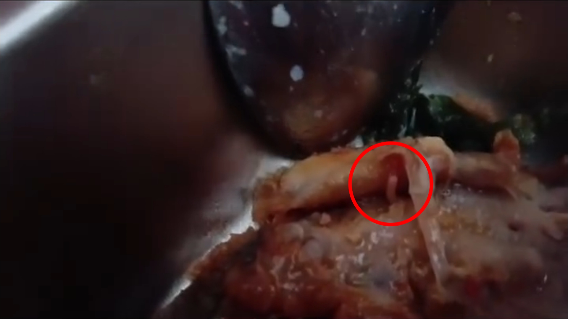 Heboh Temuan Ulat Pada Ayam dan Saus Menu MBG Murid SD di Mapilli Polman