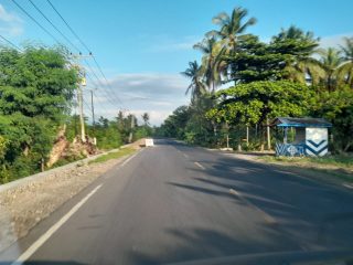 Palippis Dulu dan Sekarang