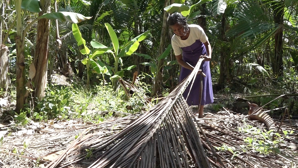 Kisah Wanita Penyandang Disabilitas di Campalagian, Bertahan Hidup dari Sapu Lidi 210422-Salamiah2