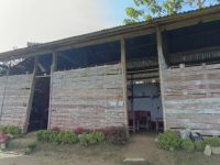 Siswa SMP Negeri 6 Buntu Malangka Mamasa Belajar di Kelas Mirip Gubuk karena Belum Punya Gedung