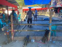 Polisi Bongkar Arena Sabung Ayam di Mamasa karena Resahkan Warga