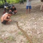 IMG-20251218-WA0082(2)