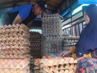 Harga Ayam – Telur Merangkak Naik di Wonomulyo Polman Jelang Lebaran