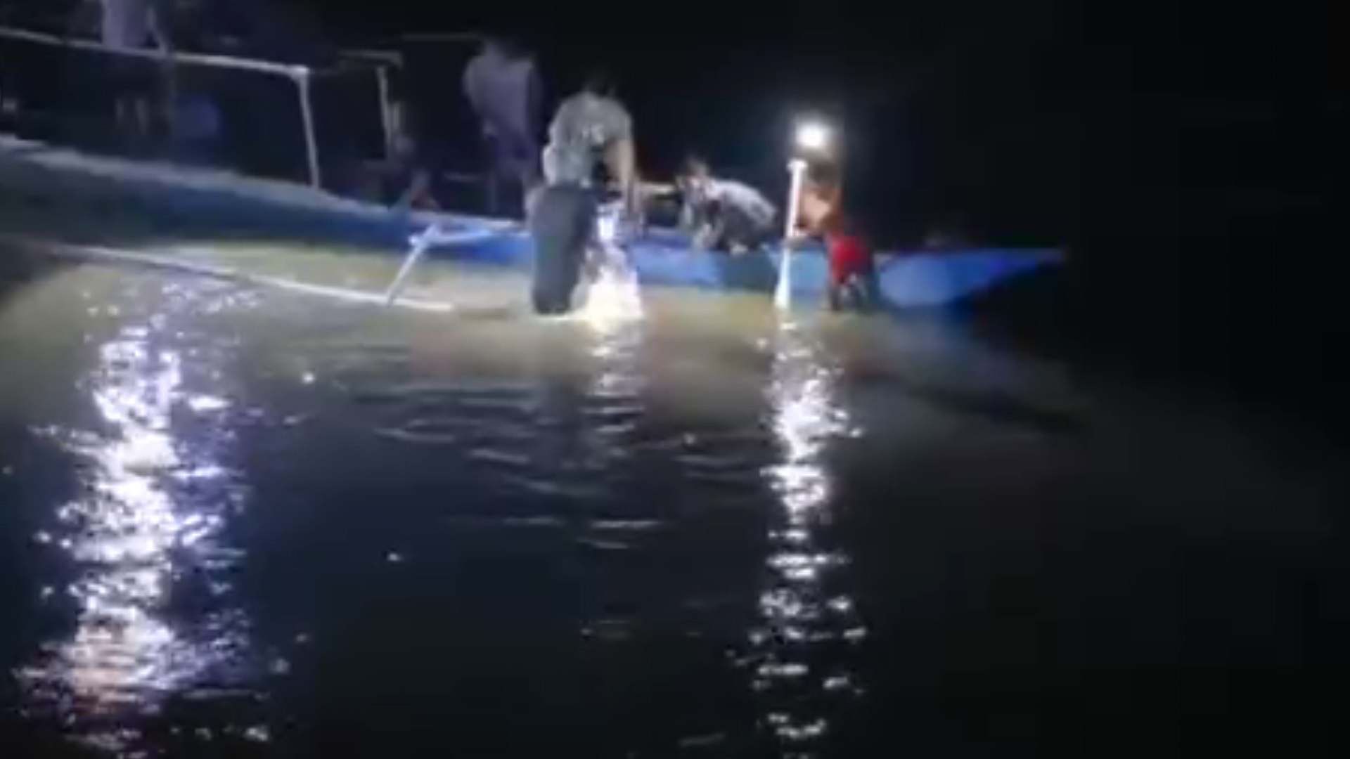 Pria 50 Tahun di Polman Tewas Diterkam Buaya 4 Meter Saat Mandi di Sungai Mandar