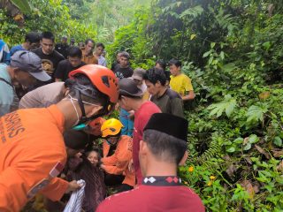 Diduga Tersesat, Nenek 70 Tahun Ditemukan Lemas di Hutan Polman